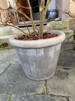 Schöner massiver Tontopf (ohne Pflanze)