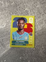 Panini  Brian Cipenga COD17