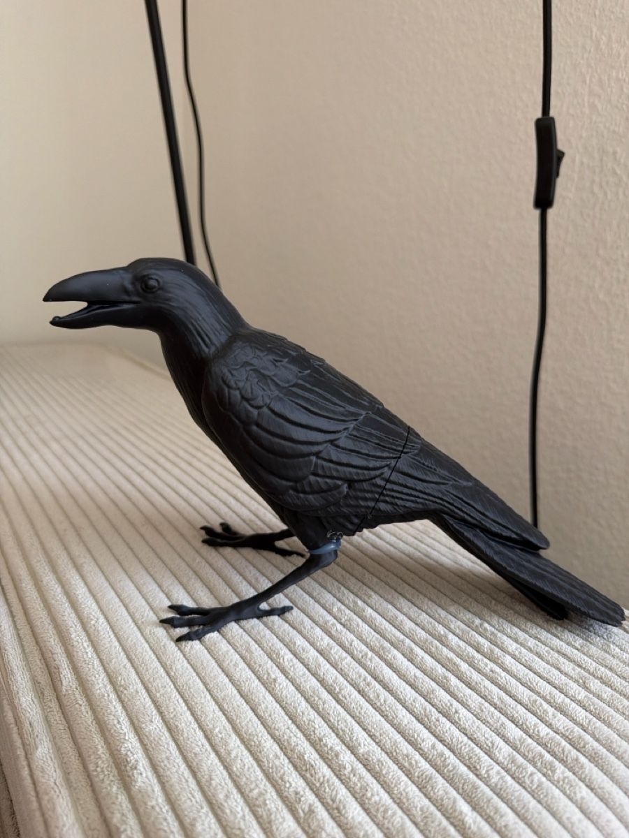 Lampade: 3D printed bird lamp with cord and bulb – Usato da Regensdorf venduto da __Claudia_ 1