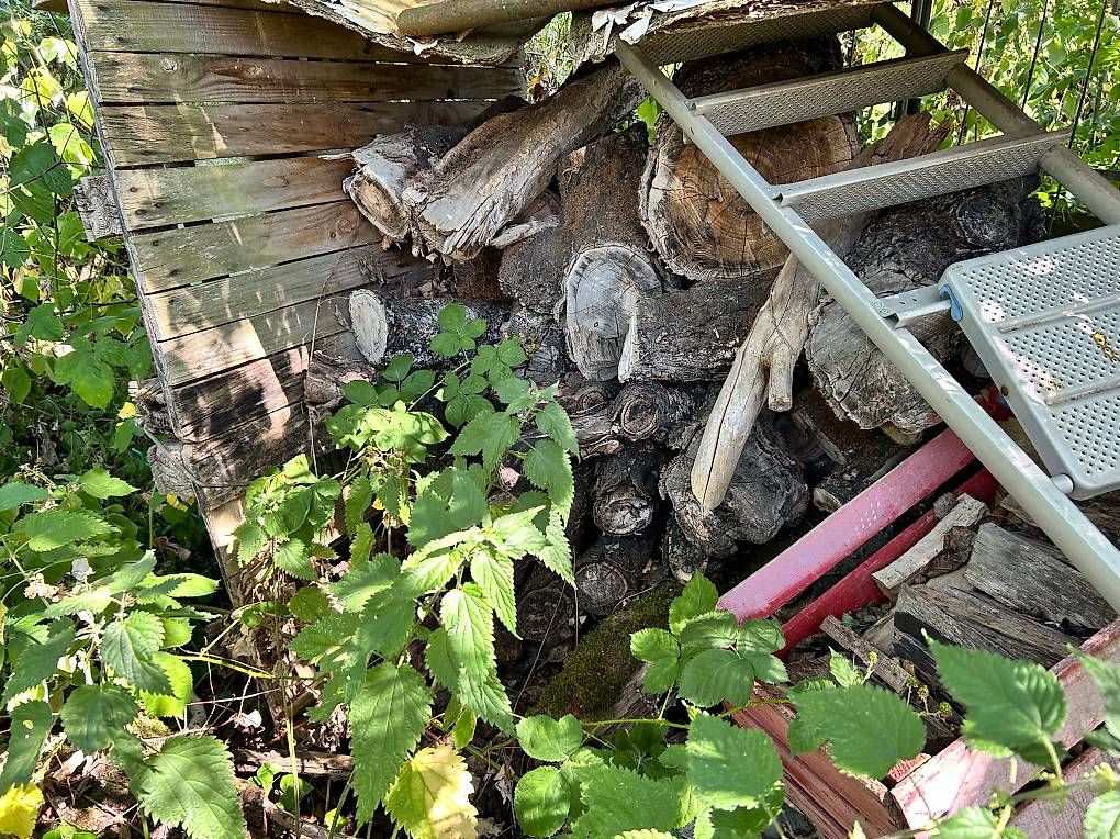 Articles en bois: Brennholz – D'occasion à Wernetshausen par Martilukas 1