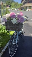 CORTINA U4 Fahrrad Gazelle - Stilvoller Citybike Velo