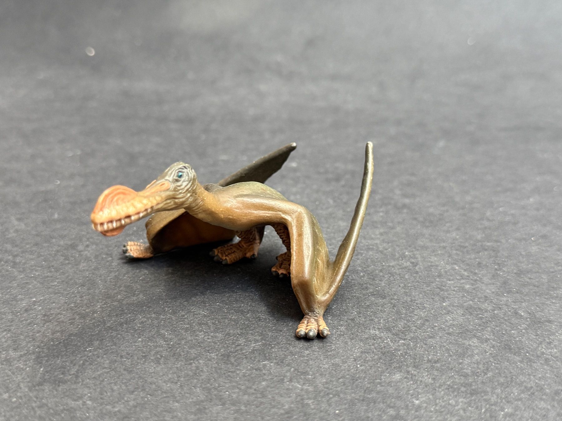 Schleich Statuette: Schleich Dinosaurier Anhanguera – Usato da Ennetbaden venduto da mapa05 4