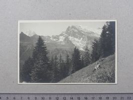 Mürren, Sefinental, belebt