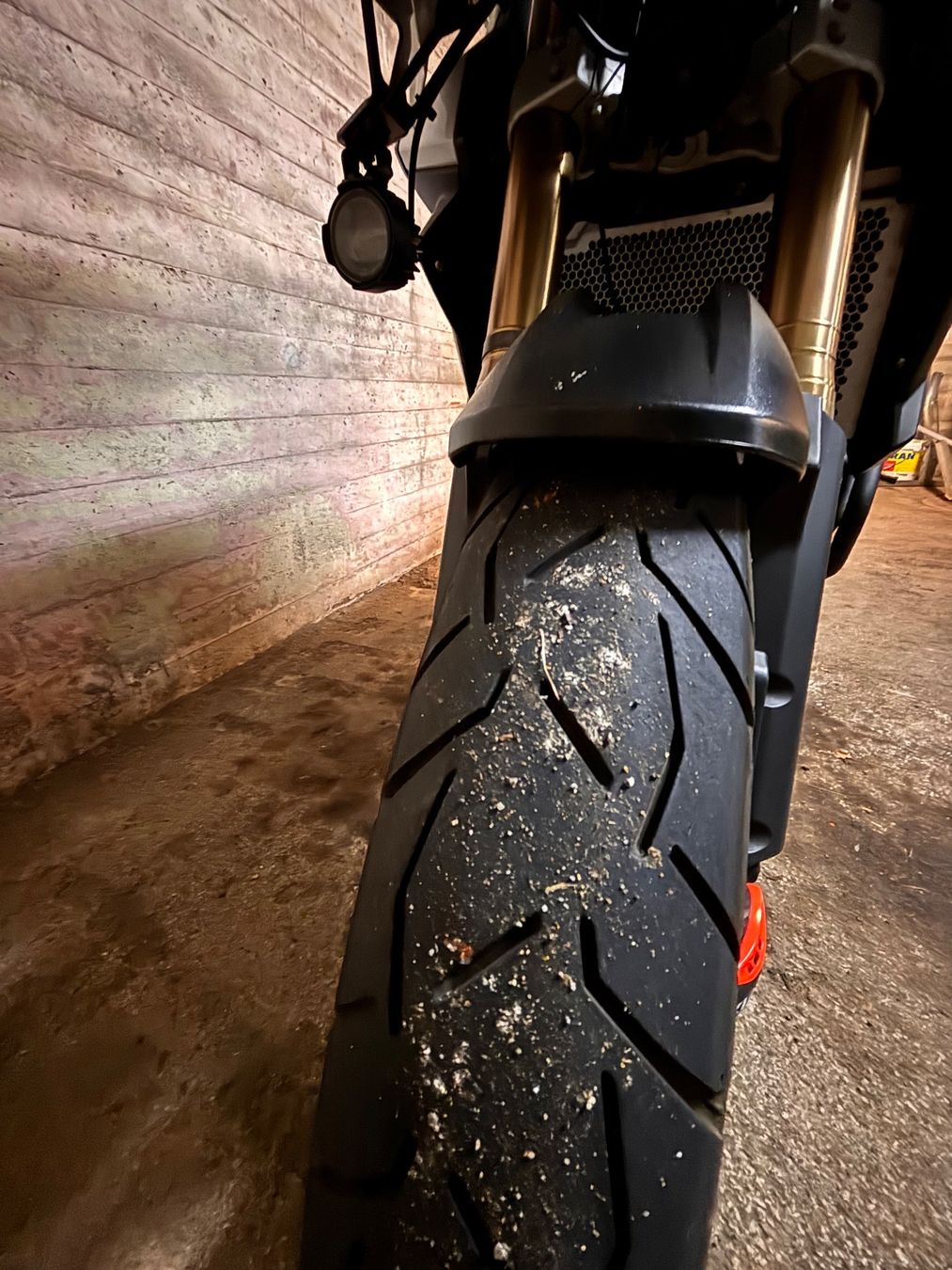 Triumph Touring: Triumph Tiger Explorer – D'occasion à Wollerau par markus_h 5