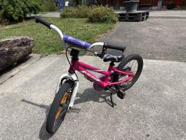 Kindervelo Specialized