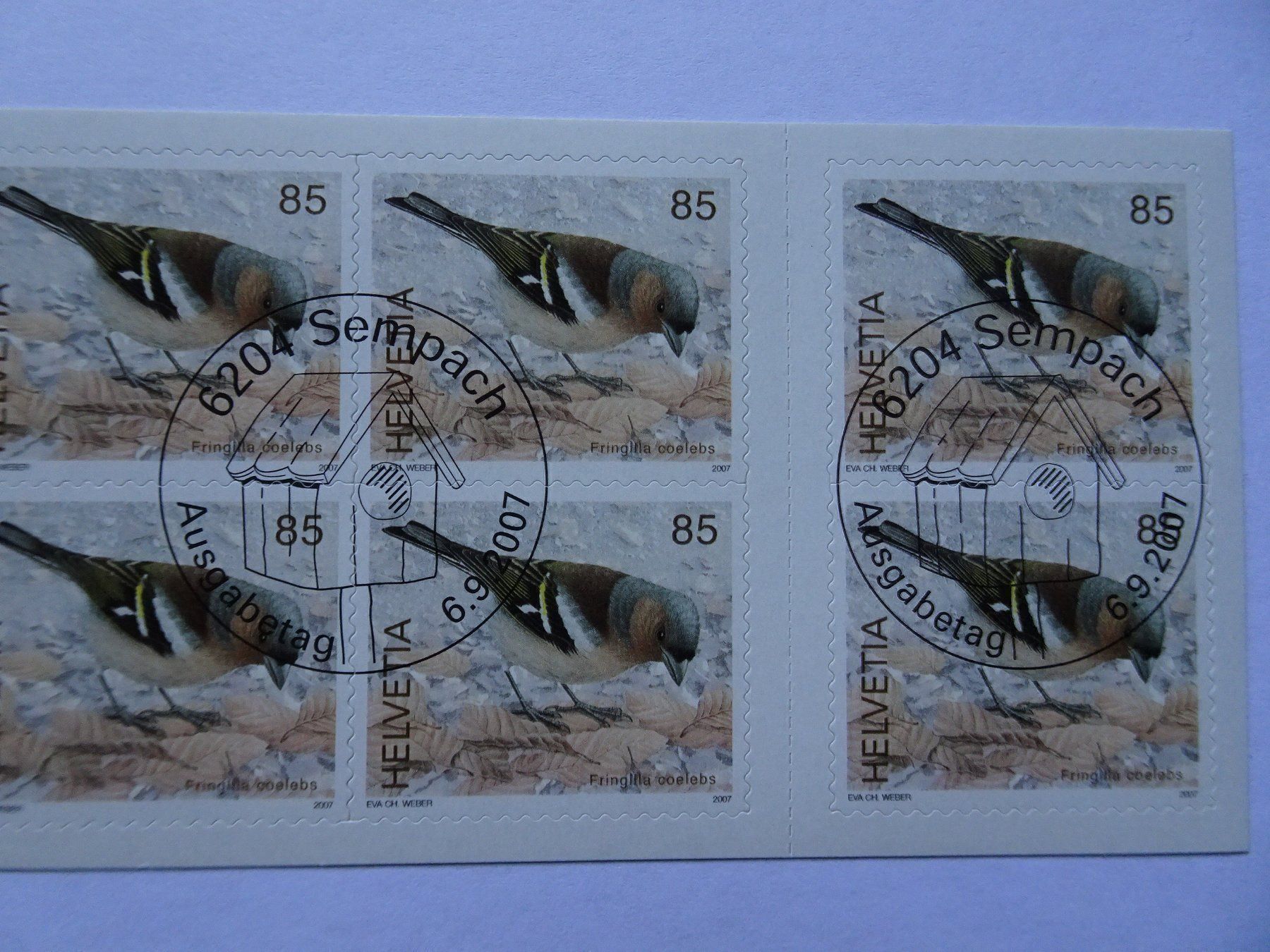 Tous les timbres: 2007**und* – Neuf (Voir description) à Aadorf par Chnorli-Furz 2