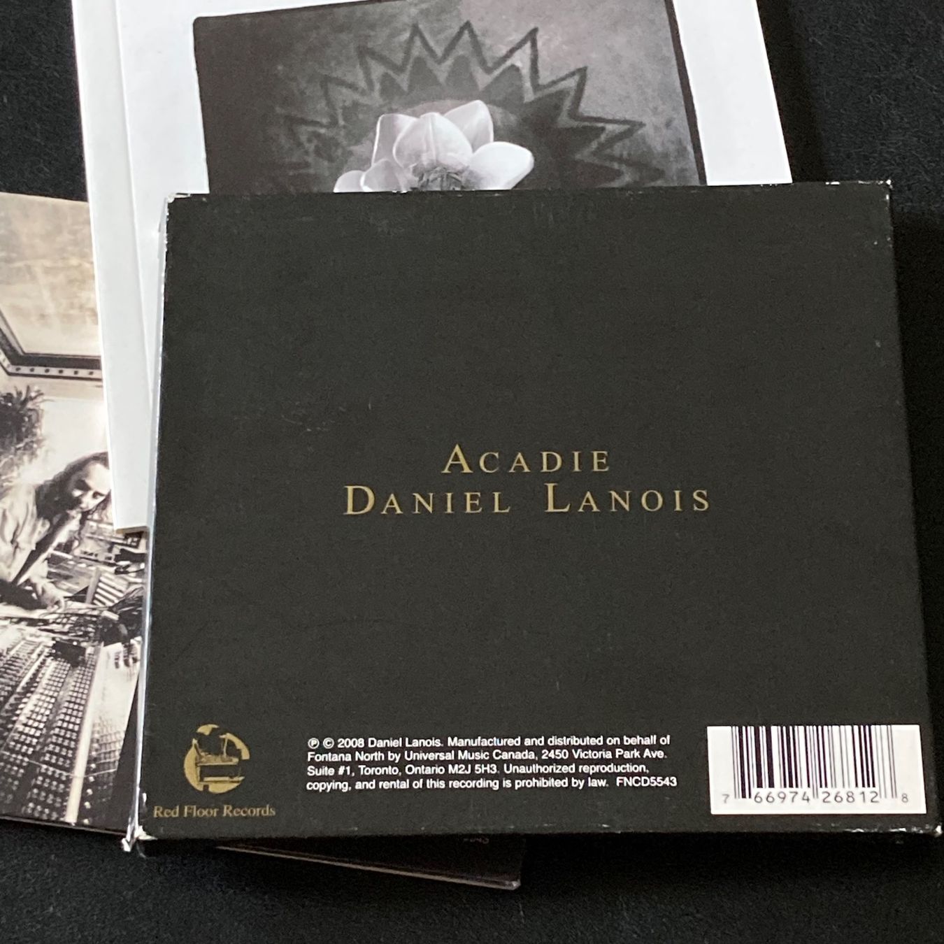 CDs: Daniel Lanois - Acadie – D'occasion à Bern par Ntsamina 2