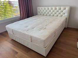 Boxspringbett Wittmann 160x200