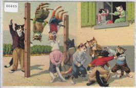 Katzen-Familie - Schul-Turnen