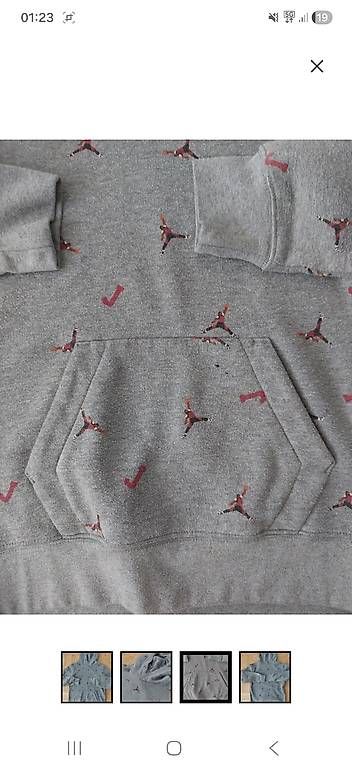 Pulls & Sweat-shirts: Jordan Hoodie – D'occasion à Wetzikon ZH par cet_6fbf 1