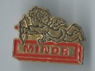Placchette & Badge: Minor - Pin – Usato da Zürich venduto da t24_de