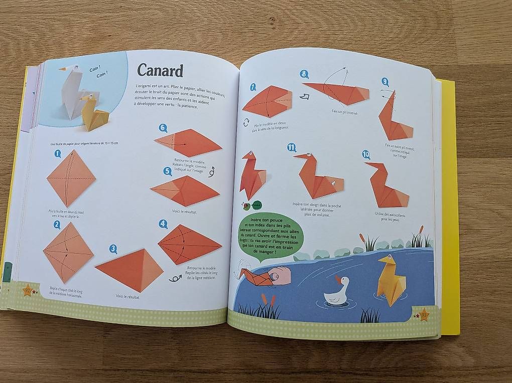 Libri: 100 pliages pour jouer  – Usato da Gland venduto da OleksandrB 3