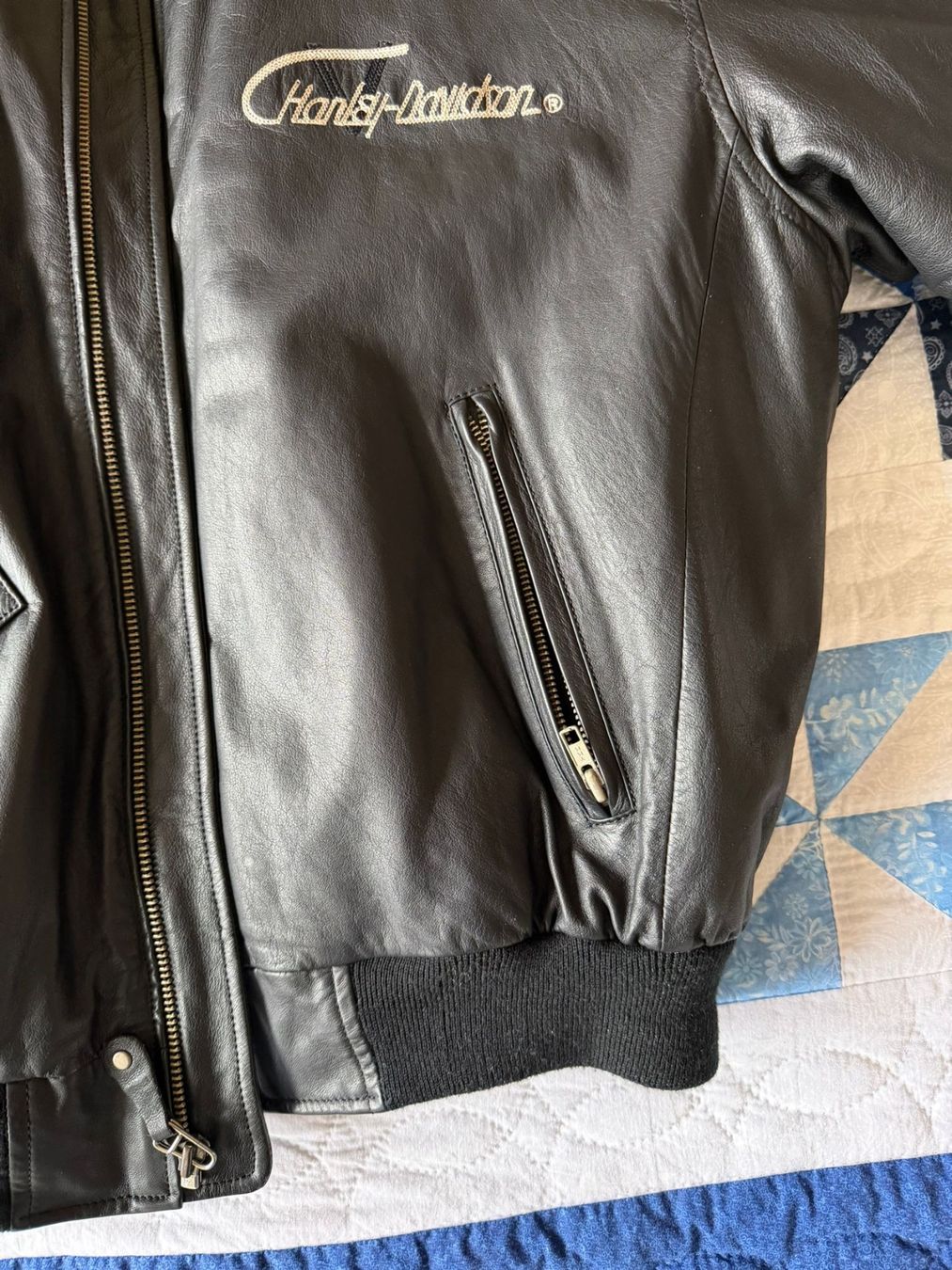 Harley-Davidson Giacche: Harley Davidson Lederjacke, Top Zustand, Grösse L – Nuovo (secondo la descrizione) da Zürich venduto da dagobertluck 3