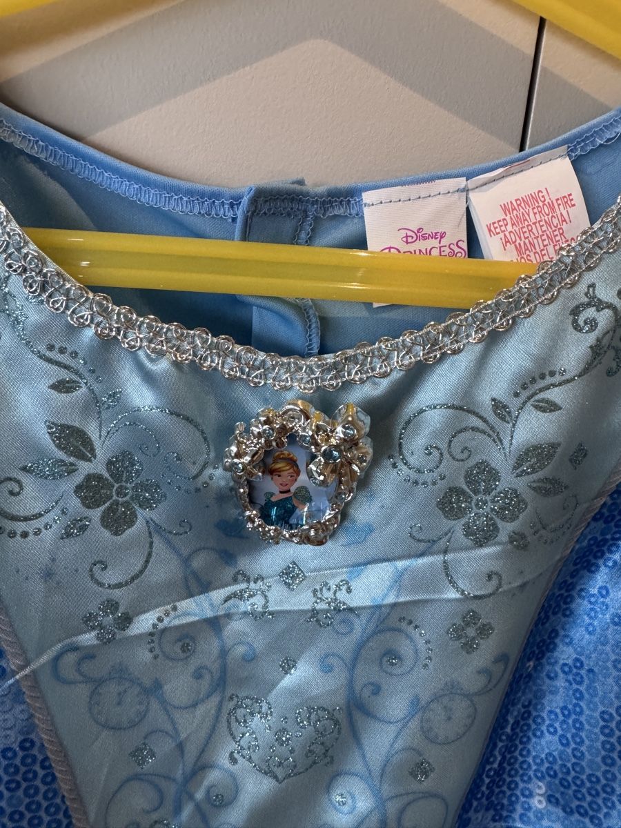Costumi: Cindarella carnival dress  – Usato da Ruvigliana venduto da lux_t2sb 1