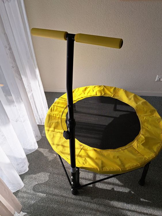 Fitness Trampolin mit Stange 2