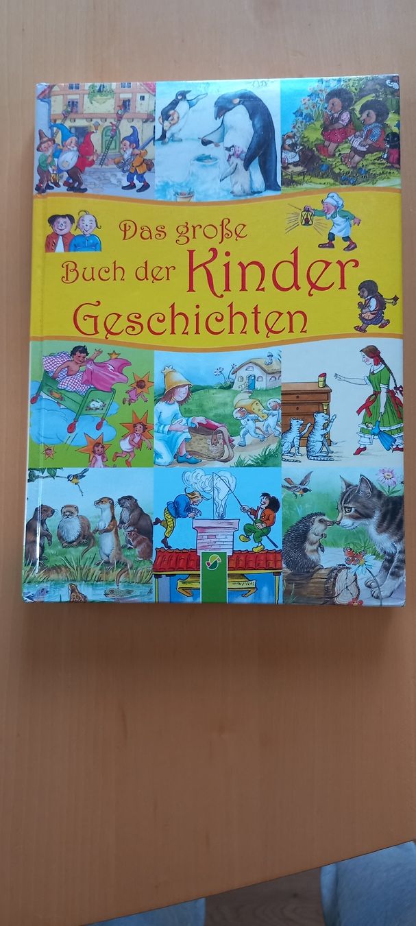 Libri: Das grosse Buch der Kindergeschichten – Usato da Oberwil-Lieli venduto da Deding