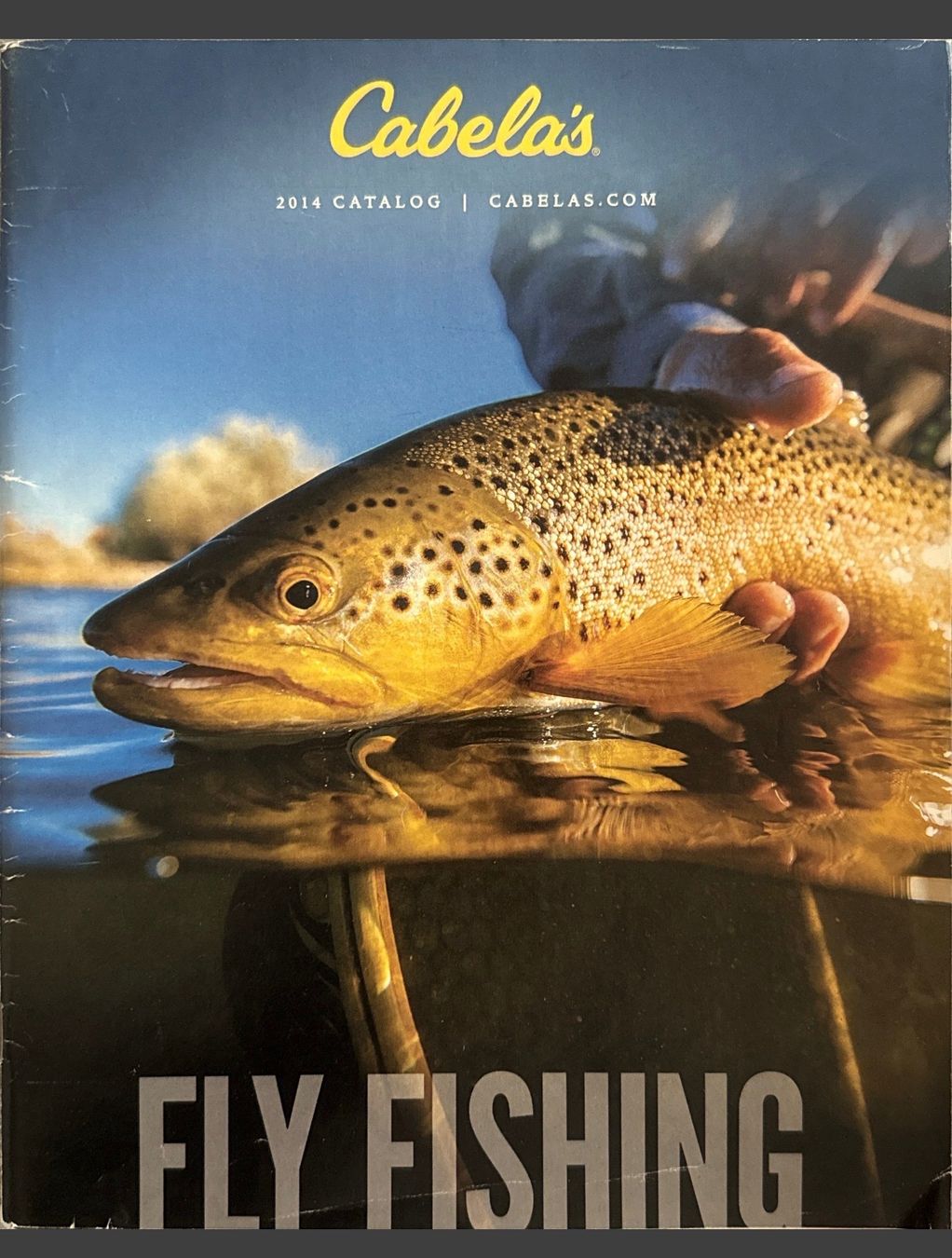 Libri: Cabela's 2014 Fly Fishing Catalog brochure – Usato da Fleurier venduto da jea_j77g