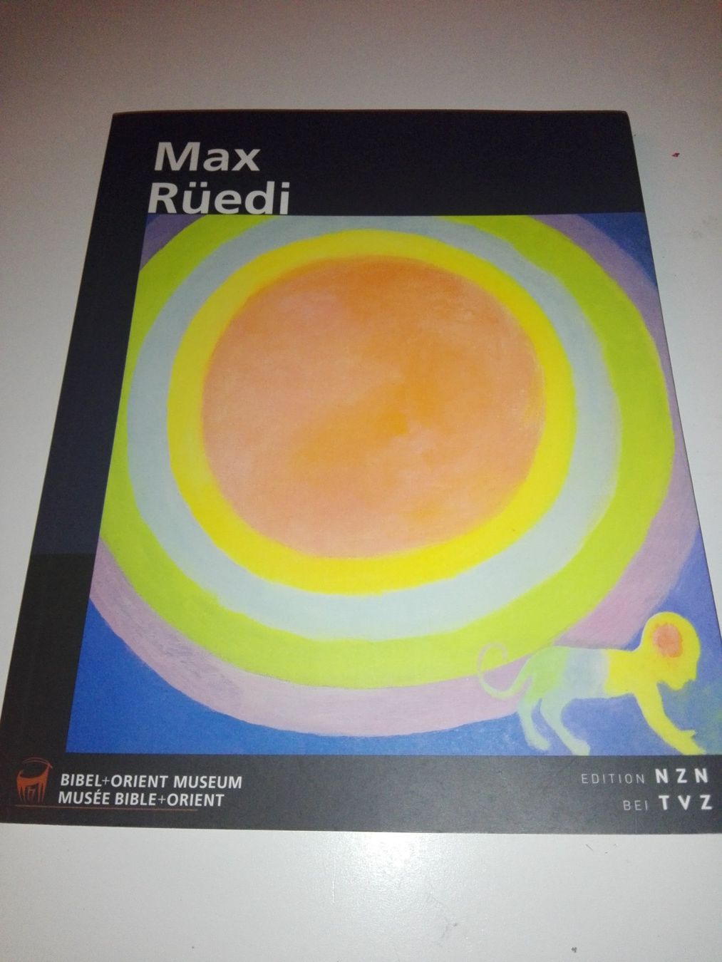 Bücher: Max Rüedi -  Werkbuch Kunstbuch Malerei Schweiz – Gebraucht aus St.Gallen von elk2022