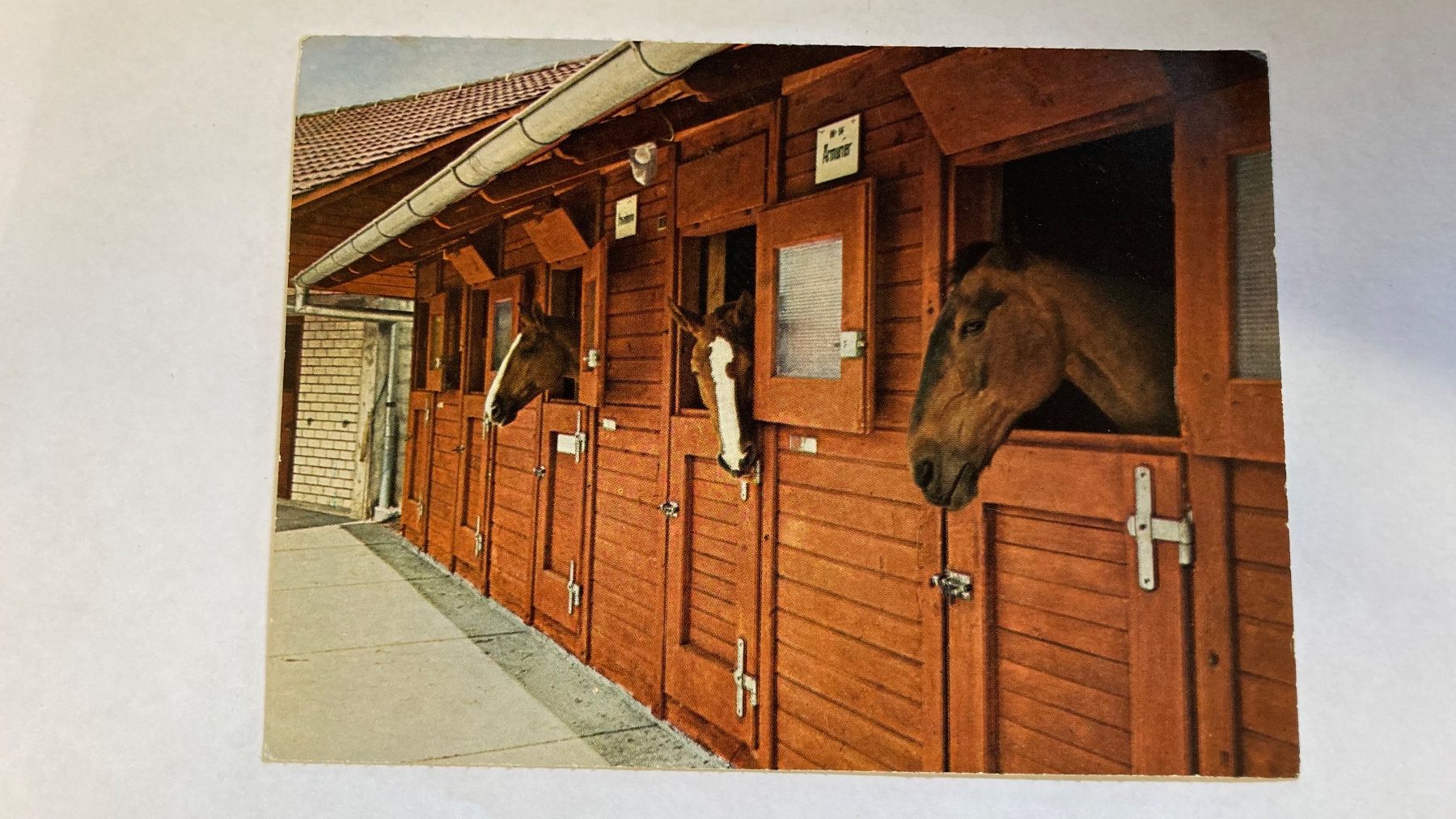 Cartoline postali: Postkarten 5 Stück – Usato da Ermensee venduto da Alainmischler