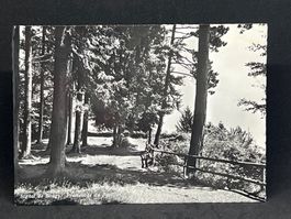 Signal de Bougy, Promenade du Pavillon
