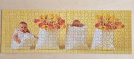 Puzzle Anne Geddes (500 Teile)