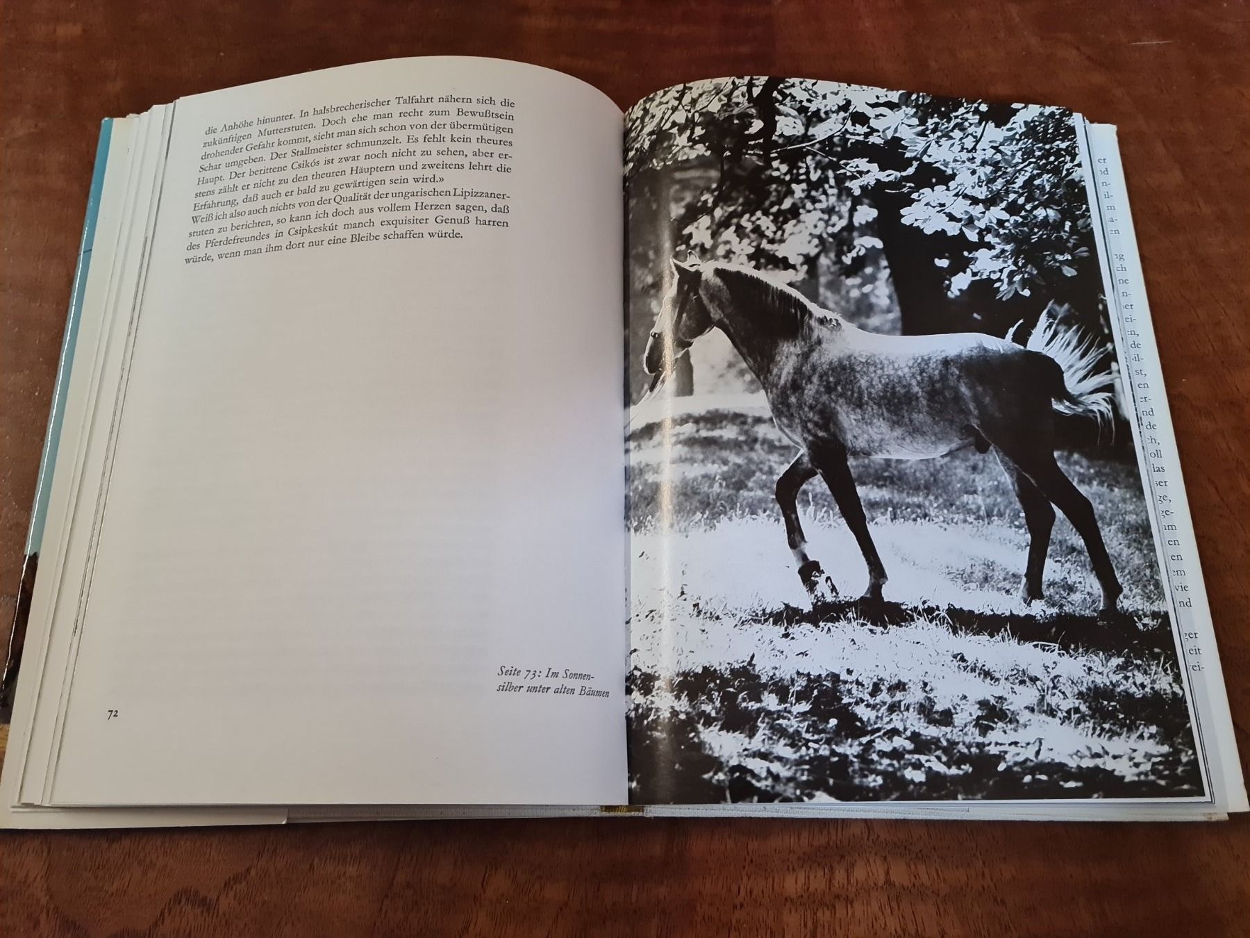 Libri: Ungarns verborgene Helden – Usato da Erstfeld venduto da Mario_boe0 3