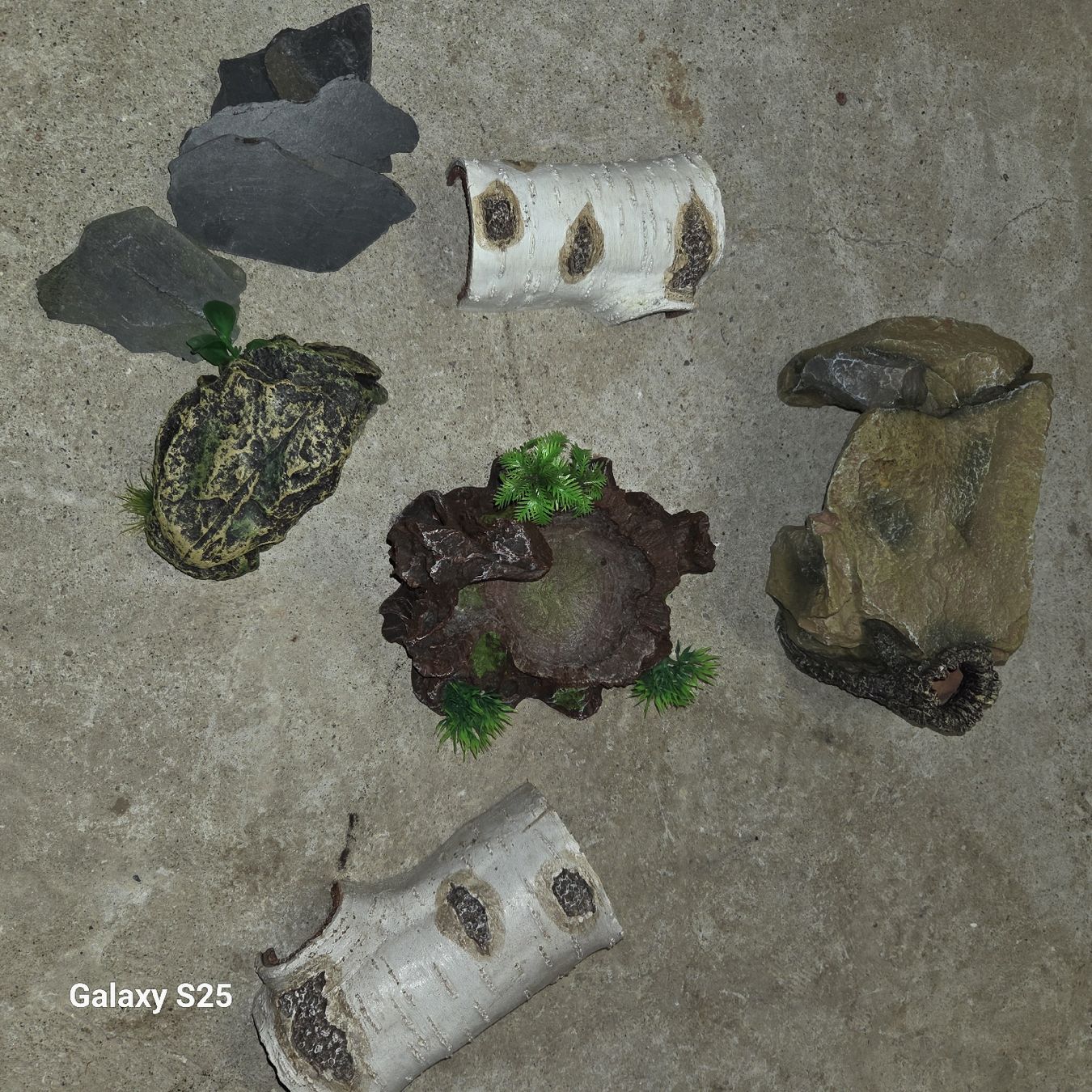 Terrariums: Terarrium – D'occasion à Kräiligen par gab_k8kf 3