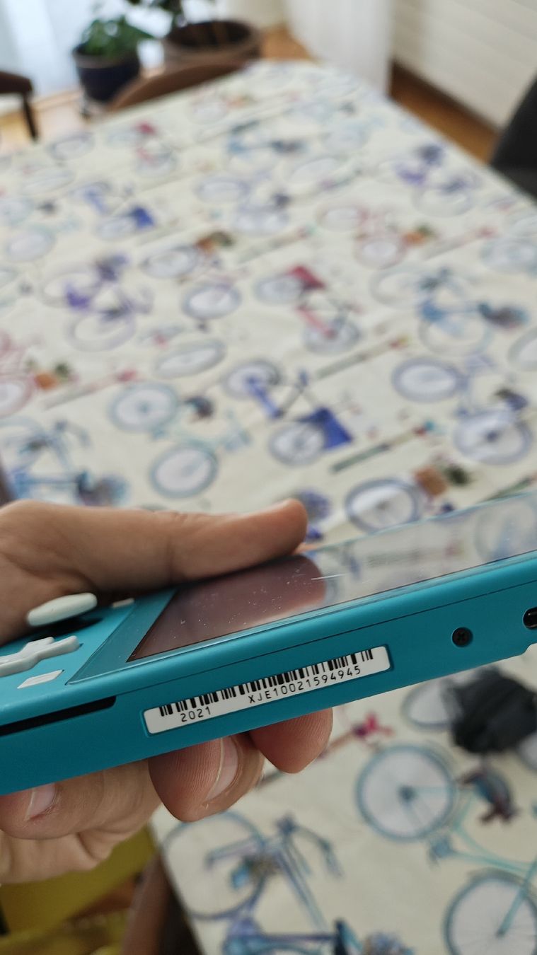 Nintendo Console: Nintendo Switch Lite+Lader+Plastic Cover – Usato da Montagnola venduto da mattbert86 2