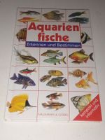 Aquarienfische - Erkennen & Bestimmen (kompakt & informativ)