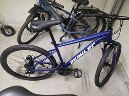 Agwiler Mountainbike, Neu!