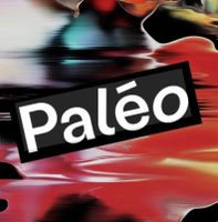 1 BILLET PALEO DIMANCHE / ADULTE / 26.07.2026