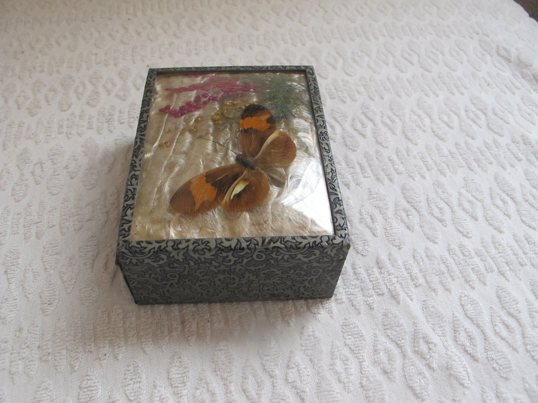 Pots: SCHATULLE MIT ECHTEM SCHMETTERLING VINTAGE – D'occasion à Löhningen par Chimae67 7