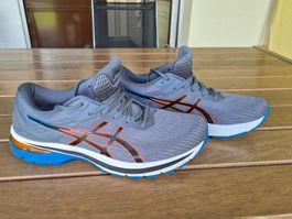 Asics Herrensportschuhe Grösse 44.5/45