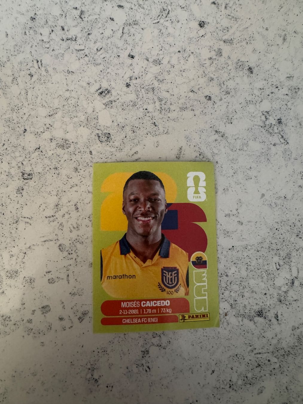 Panini Carte collezionabili: Moises Caicedo – Usato da Volketswil venduto da Stf801210