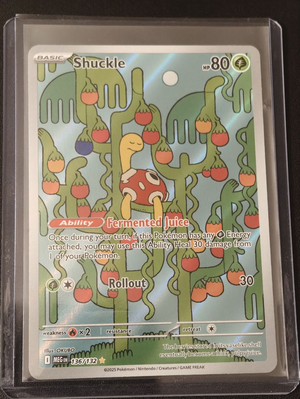 Pokémon Sammelbilder & Trading cards: Shuckle 136 EN Mega Evolution – Neu (gemäss Beschreibung) aus Therwil von Cordachu_Trade