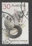 AUSTRALIA : BRUSHTAILPOSSUM   (12