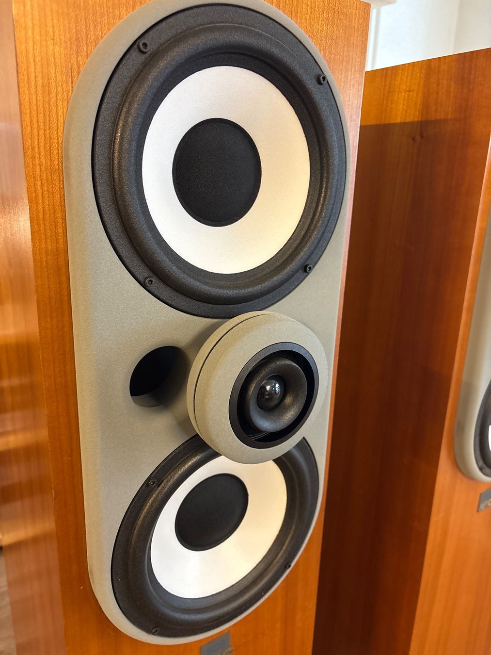 Cabasse Casse acustiche: Cabasse Iroise SCS Merisier – Usato da Onnens VD venduto da Vintage-Hifi-Store 2