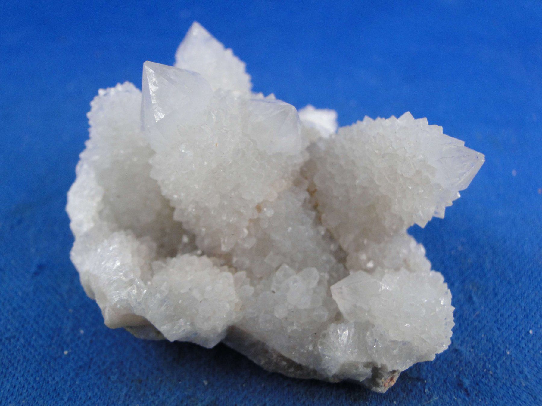 Minerali & Pietre curative: Quartz var. Amethyst & Kaktus – Nuovo e nell'imballaggio originale da Schinznach Bad venduto da Demerald 2