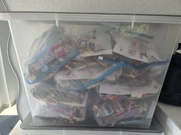 Lego Friends Liebhaber Sammlung