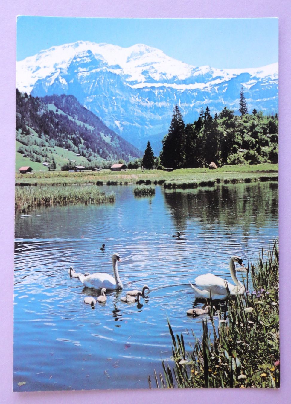 Cartoline postali: Lenk, Berner Oberland – Usato da Fétigny venduto da Billy2miny