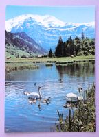 Lenk, Berner Oberland