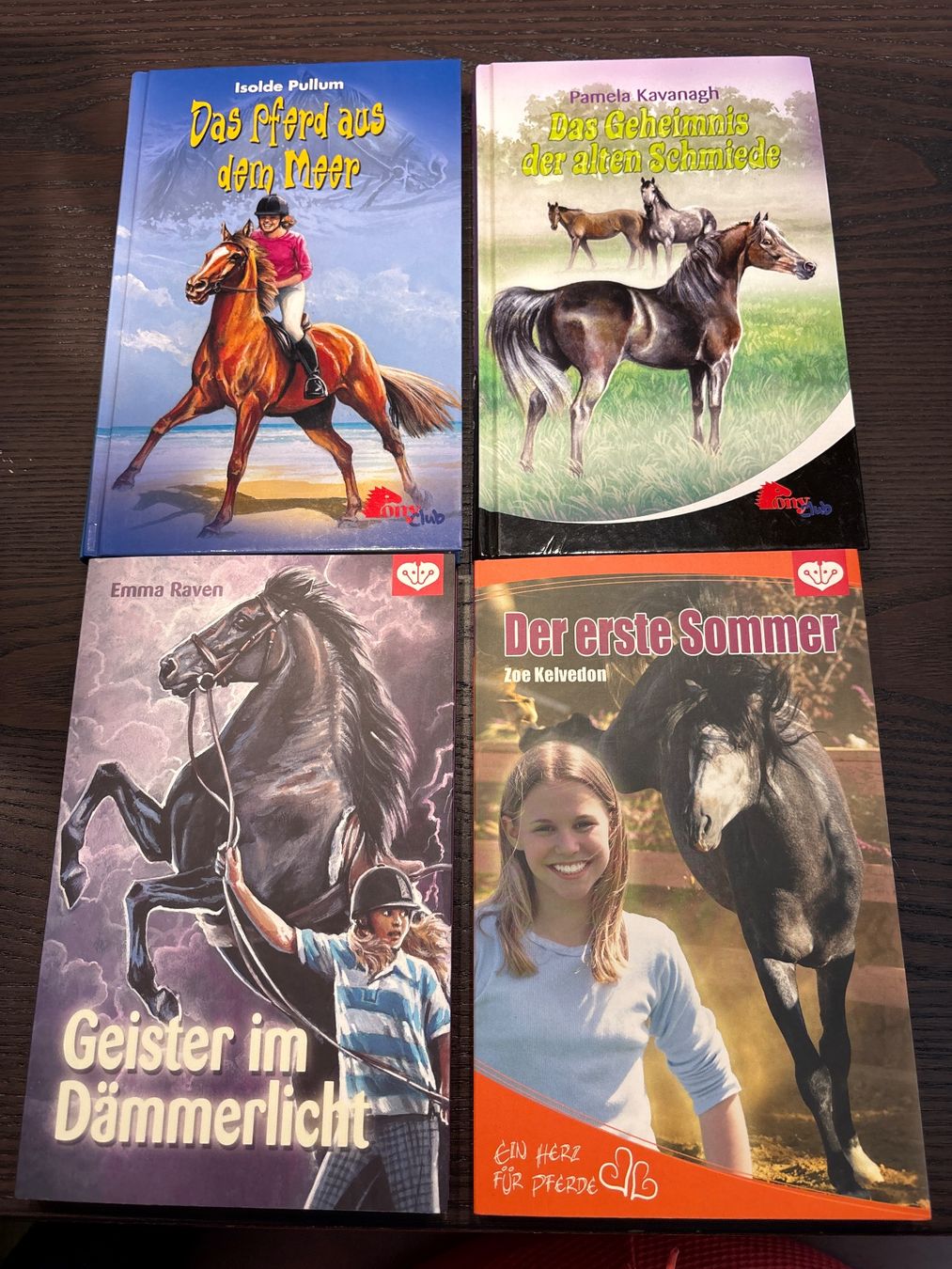 Livres: Diverse Pferdebücher – Neuf (Voir description) à Wald ZH par evelyne.street