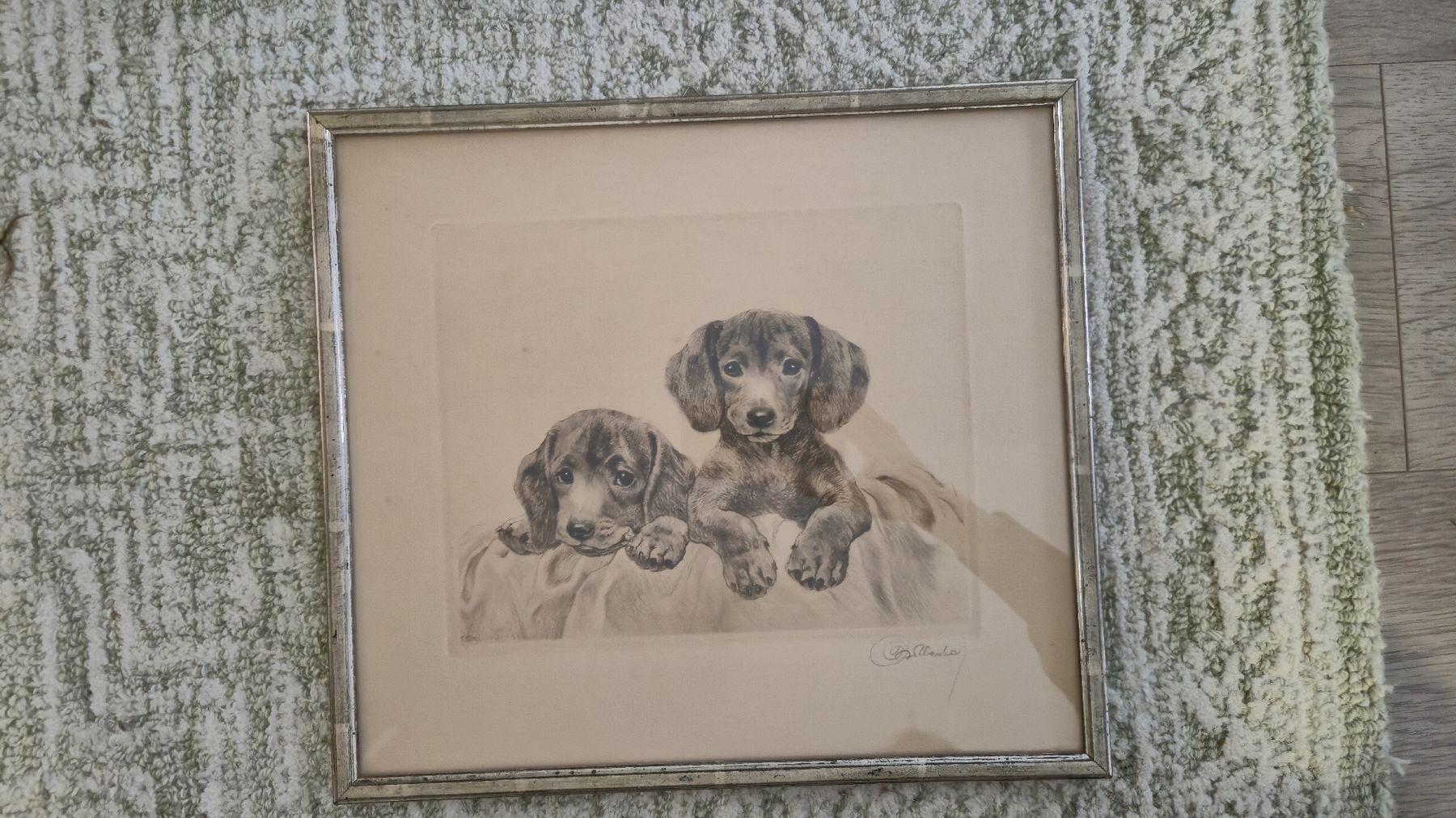 Foto & Immagini: Hunde-Bild, gerahmt, Vintage – Usato da Watt venduto da sarahZH1995