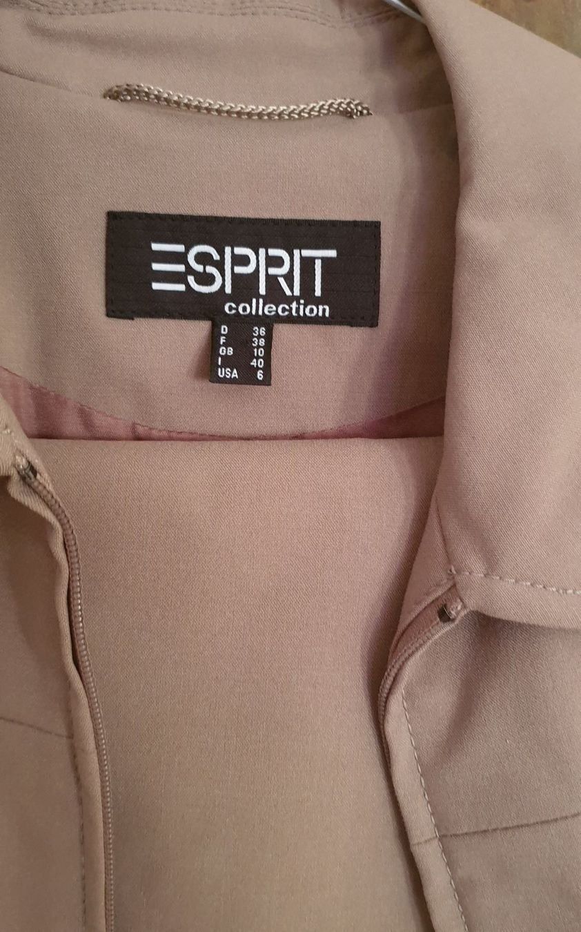 Esprit Completi & Tailleur: ESPRIT Collection Deux Pieces Anzug 36 – Nuovo (secondo la descrizione) da Füllinsdorf venduto da Sternenblick19 2