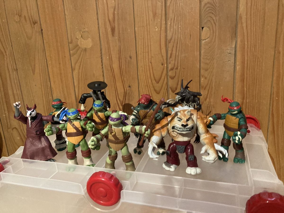 Spielzeuge: TMNT Ninja Turtles Figuren – Gebraucht aus Oberkirch LU von Noecat