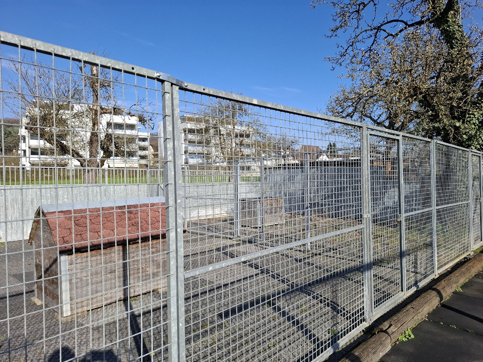 Gabbie, trasporto & Sicurezza: Zwingeranlage für Hunde  – Usato da Birmenstorf AG venduto da kildareeins 1