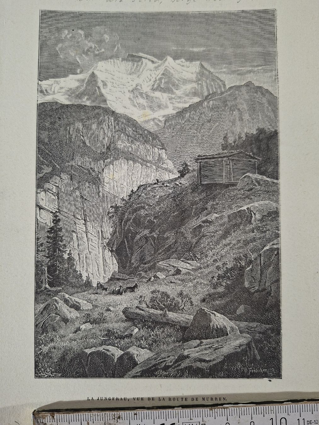 Incisioni: Lot  72 , 10 Stiche  – Usato da Grindelwald venduto da carro5