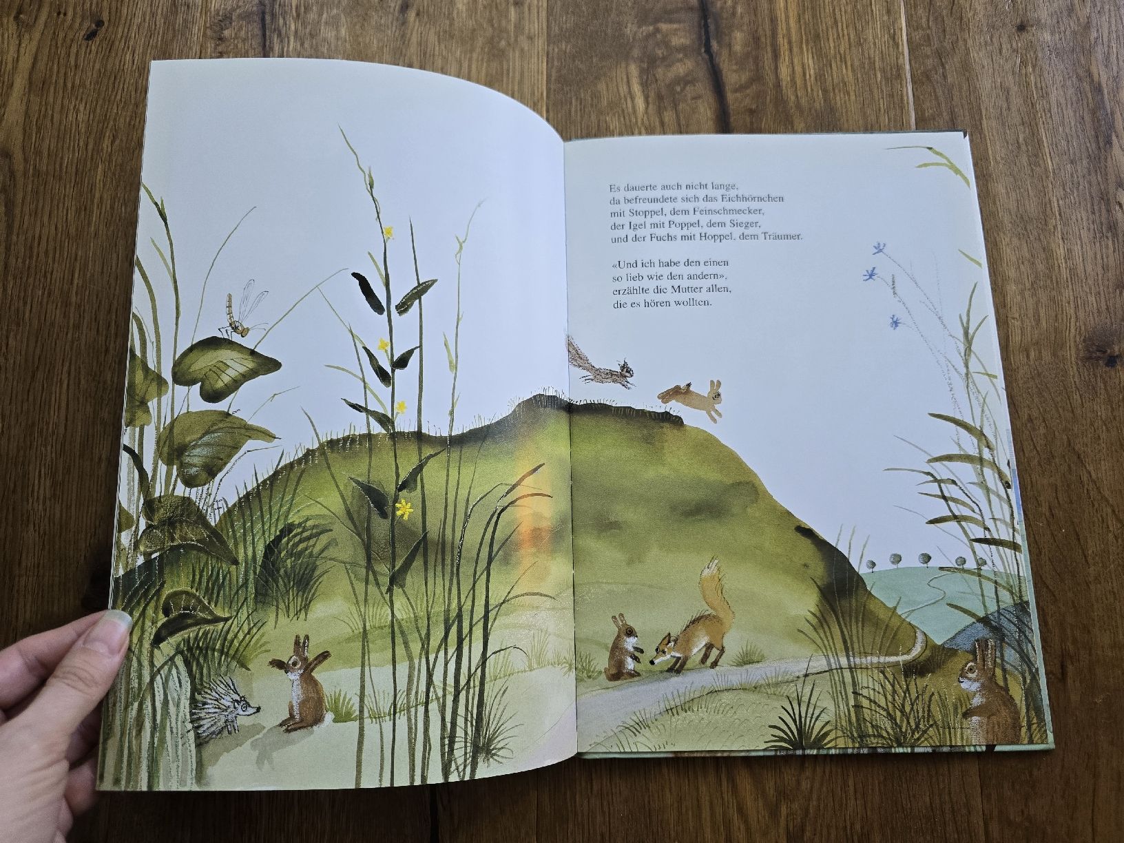 Libri: Kinderbuch Stoppel, Poppel oder Hoppel? Max Bolliger – Usato da Wittenbach venduto da Tigerlili 5