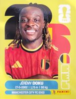 Panini FIFA World Cup BEL 16