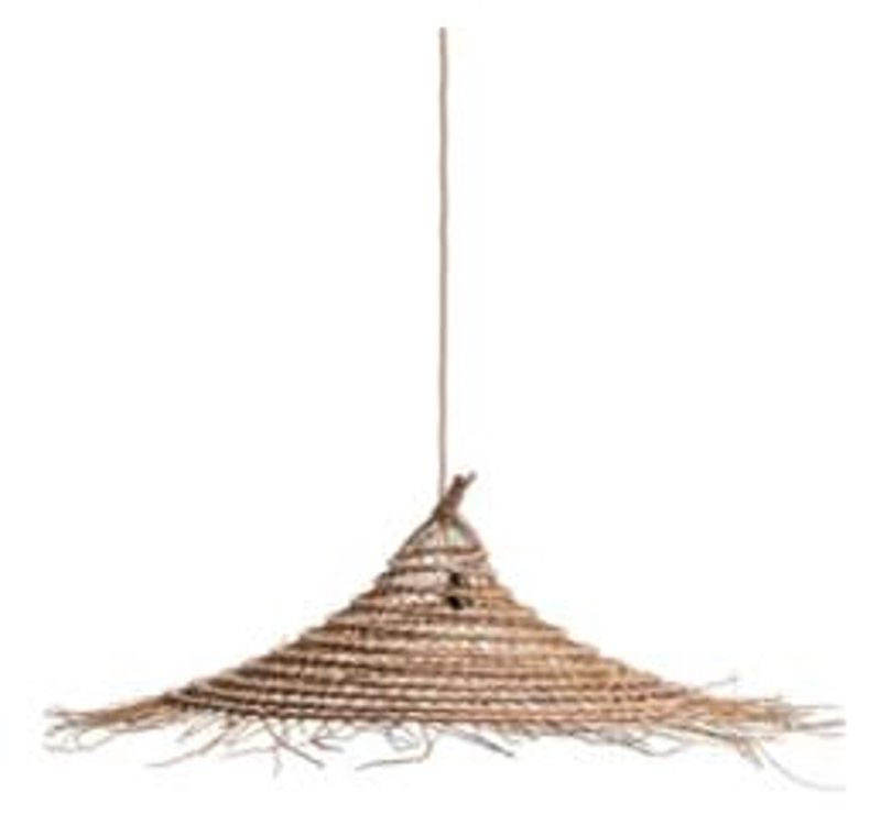 Date Palm Suspension Kaufen auf Ricardo